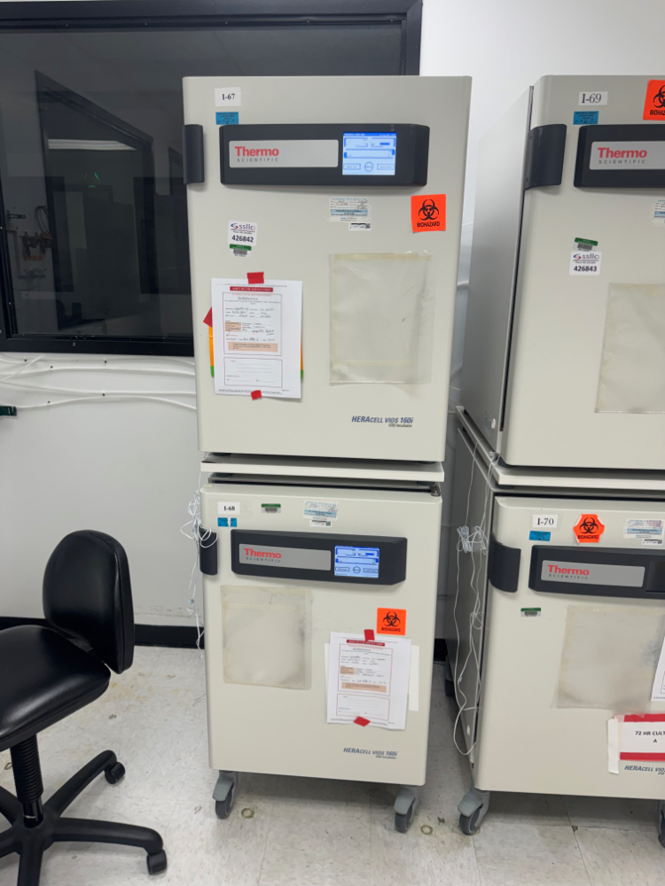 Image of Thermo HERAcell vios 160i Double Stack CO2 Incubator